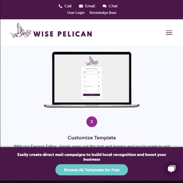 Wise Pelican